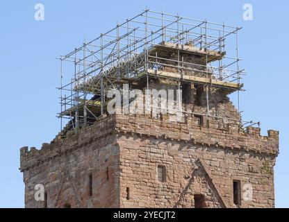 Looking up at the bell tower of Sweetheart Abbey where scaffolding has been erected for conservation work.  New Abbey, Dumfries and Galloway, Scotland. Stock Photo