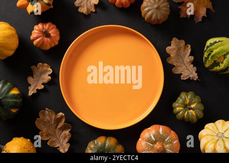 Autumn composition of colorful different small pumpkins, orange empty plate on black background. Concept catering or table setting for Thanksgiving Da Stock Photo