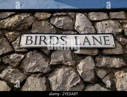 Street sign for Birds Lane on a stone wall, Cowbridge, Vale of Glamorgan, South Wales, UK.  October 2024. Autumn Stock Photo