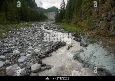 Muddy Carbon River Snakes Through The Boulders Heading Down Mount Rainier Stock Photo