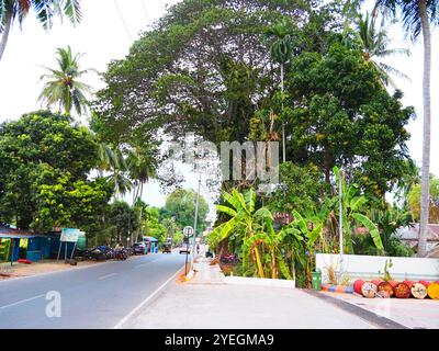 Havelock Island (Swaraj Dweep), Andaman and Nicobar Islands, Andaman Sea, India Stock Photo