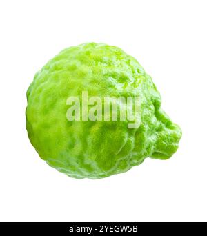 Top view of single fresh bergamot fruit or kaffir lime is isolated on white background with clipping path. Stock Photo