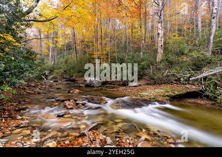 Cascade on Looking Glass Creek in autumn - Pisgah National Forest, near Brevard, North Carolina, USA Stock Photo