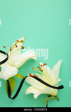 Two white liles flowers with black ribbon on mint. Mourning or funeral background. Top view Stock Photo