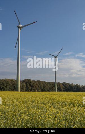 Wind turbines in an open field under a clear blue sky, surrounded by a forest, borken, muensterland, germany Stock Photo