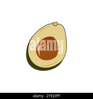 Avocado fruit. Cut in half avocado with pit. Cartoon vector illustration. Stock Vector