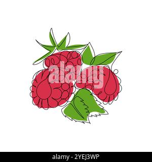 Raspberry berry fruit. Sweet, healthy, fresh berries. Continuous one line color vector illustration. Stock Vector