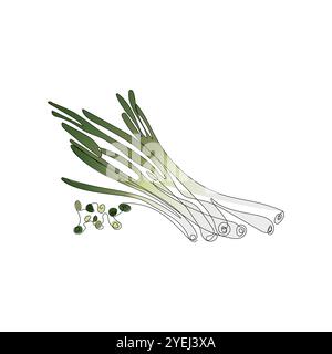 Green onion in one line art style. Abstract fresh food in minimalism design. Single continuous line drawing. Vegan concept design. Hand drawn vector. Stock Vector