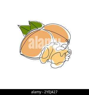 Healthy organic walnut in one single line drawing style. Minimalist colorful sketch. Hand drawn abstract vector illustration. Stock Vector