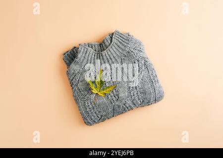 Gray knitted sweater and autumn leaf on beige background. Shopping, seasonal sale concept. Top view, flat lay. Stock Photo