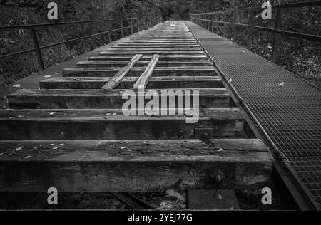 Railway tracks on a abandoned bridge. Stock Photo