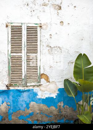 An old Mallorcan building with a shuttered window set in a blue and white painted building all in need of repair. there is a large leaved green plant Stock Photo
