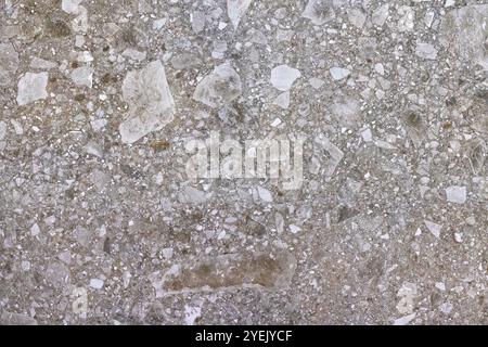 Polished ceppo stone surface displaying characteristic inclusions creating a unique and textured appearance. Abstract image and background. Stock Photo