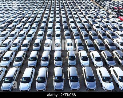 LIANYUNGANG, CHINA - OCTOBER 31, 2024 - A large number of vehicles are gathered for loading at the terminal of Oriental Port Branch in Lianyungang Por Stock Photo