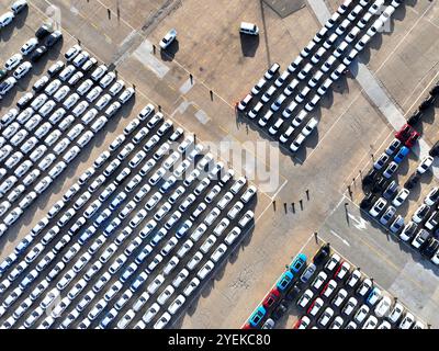 LIANYUNGANG, CHINA - OCTOBER 31, 2024 - A large number of vehicles are gathered for loading at the terminal of Oriental Port Branch in Lianyungang Por Stock Photo