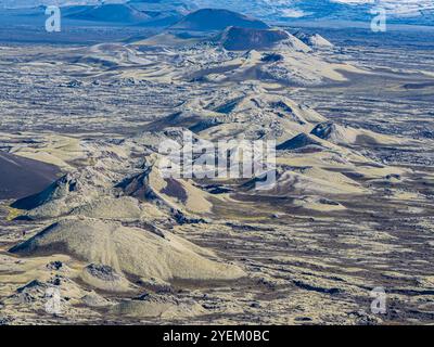 Moss-covered Laki crater or Lakagígar, series of craters,  crater continue below glacier Vatnajökull, interior highlands of Iceland,  Suðurland, Icela Stock Photo