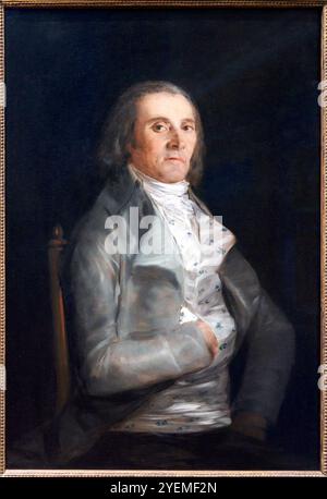 Don Andrés del Peral, before 1798, Francisco de Goya (1746-1828), The National Gallery, London, UK Stock Photo