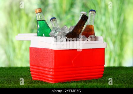 Many bottles of drinks in cooler box on artificial grass Stock Photo