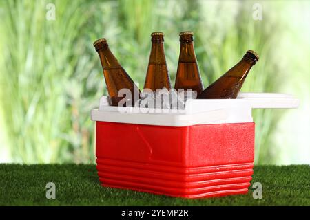 Many bottles of drinks in cooler box on artificial grass Stock Photo