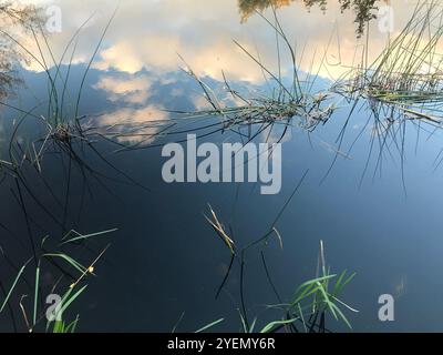 Water surface, reflection, gentle waves, blue background. Stock Photo