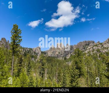 The Needles Rock Formations in Custer State Park, Black Hills, South Dakota Stock Photo