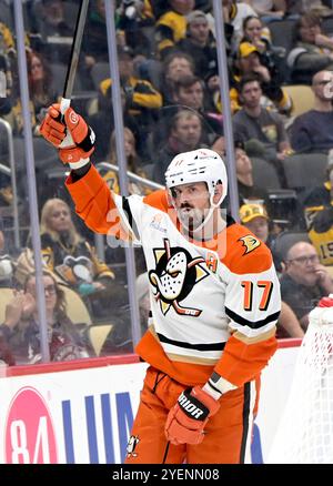 Anaheim Ducks' Alex Killorn in action during an NHL hockey game against ...