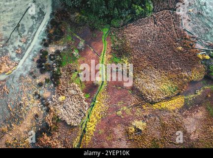 Aerial view of tidal flats at the mouth of the Skagit River, near La Conner, Washington, USA Stock Photo