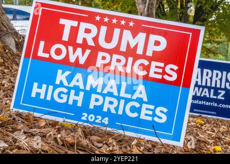 Trump and Harris yard signs at a Metro Atlanta, Georgia, polling station during early voting in the 2024 U.S. general election. (USA) Stock Photo