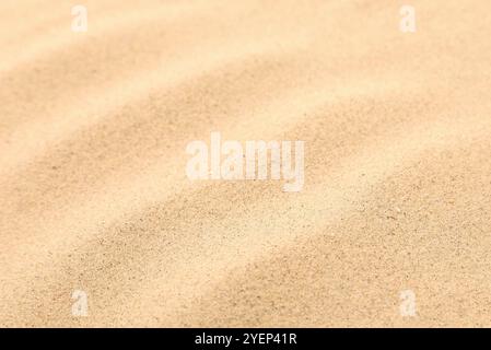 Seamless sand on a whole background. Texture. Stock Photo