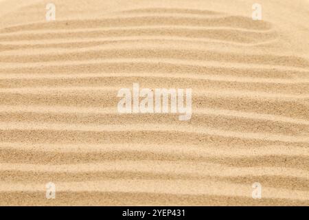 Seamless sand on a whole background. Texture. Stock Photo