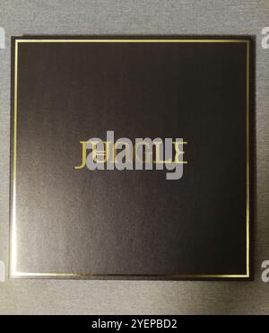 Jungle 2014 self-titled debut album vinyl record sleeve Stock Photo