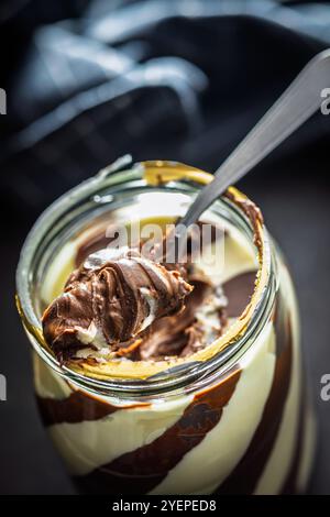 Chocolate cream spread on  a spoon. Stock Photo