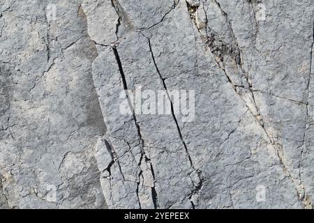 Natural raw rock granite full frame as background Stock Photo