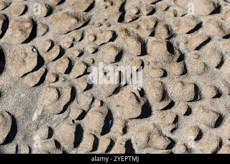 Close up view of textured rock with bumpy surface Stock Photo