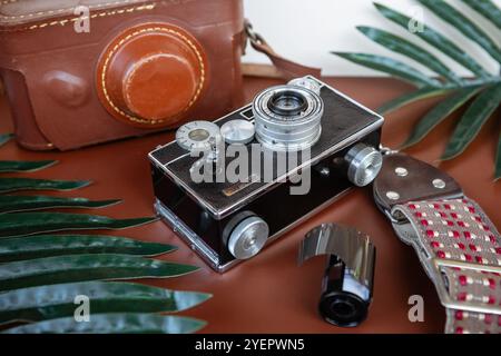 Retro camera with leather case framed by tropical leaves Stock Photo