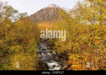 Glen Etive in Autumn with colourful golden leaves, red berries, snow topped mountain and flowing stream, Scottish Highlands, Scotland.  Horizontal.  S Stock Photo