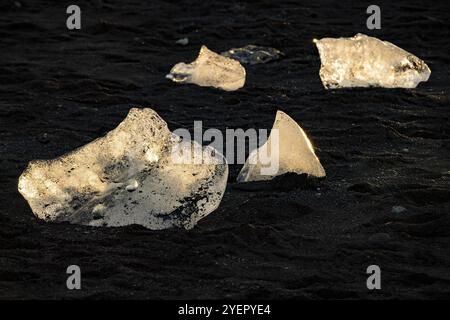 Chunks of ice are illuminated by the sun, contrasted by a black background, Diamond Beach, Joekulsarlon glacier lagoon or Joekulsarlon, South Icelan Stock Photo