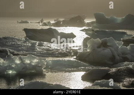 Glistening icebergs in the sunlight, calm water and a hazy morning atmosphere, Joekulsarlon glacier lagoon or Joekulsarlon, South Iceland, Iceland, Stock Photo