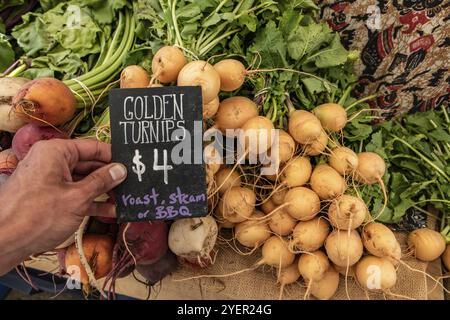 Hand written blackboard sign with the price of golden turnips at the local farmer's market. Real, fresh and genuine food from the countryside, on sale Stock Photo