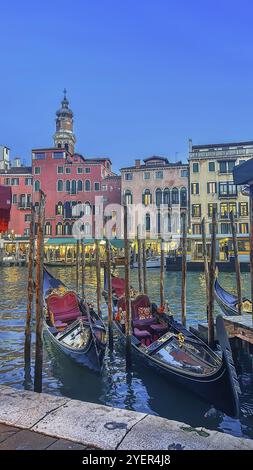 Historical houses on Grand Canal, Venice, Italy, Europe Stock Photo