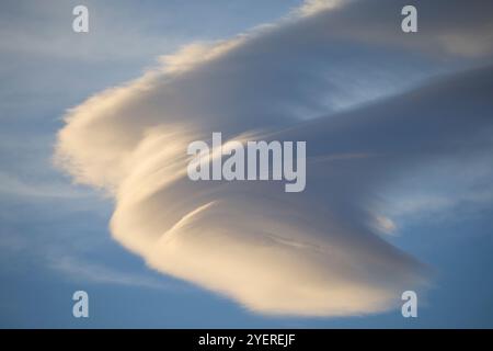 beautiful large white cumulus cloud on a bright blue background Stock Photo