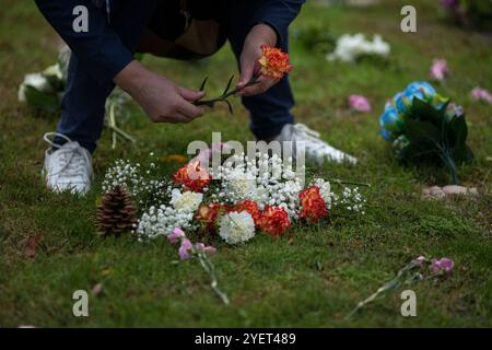 Madrid, Madrid, Spain. 1st Nov, 2024. A woman places a carnation in the Garden of Remembrance at the Almudena Cemetery, during the celebration of All Saints' Day.The Almudena cemetery is named after the patron saint of Madrid and is the largest cemetery in Western Europe. (Credit Image: © Luis Soto/ZUMA Press Wire) EDITORIAL USAGE ONLY! Not for Commercial USAGE! Stock Photo