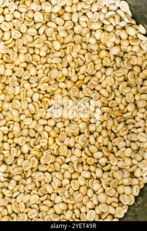 Close up Raw coffee beans, unroasted coffee beans Stock Photo