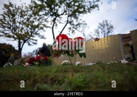 Madrid, Spain. 01st Nov, 2024. A bouquet of plastic flowers remains in the Garden of Remembrance at the Almudena Cemetery, during the celebration of All Saints' Day. The Almudena cemetery is named after the patron saint of Madrid and is the largest cemetery in Western Europe. Credit: SOPA Images Limited/Alamy Live News Stock Photo