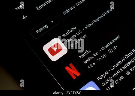 November 1, 2024, Brazil. In this photo illustration, the YouTube and Netflix app logo is displayed on a smartphone screen Stock Photo