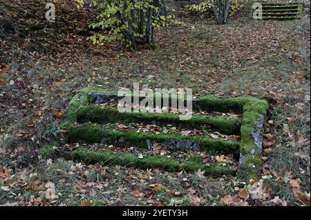 This photograph captures an old, moss-covered stone staircase in an autumnal forest setting. The steps are partially buried under fallen leaves, and t Stock Photo