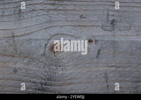 The detailed grain patterns and knots of a grey wooden surface. Stock Photo