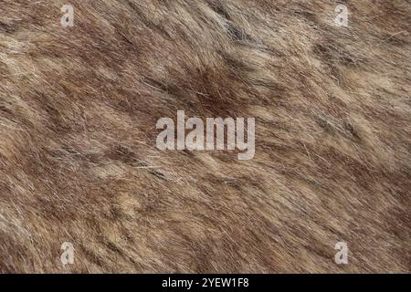 Brown animal fur, textured background Stock Photo