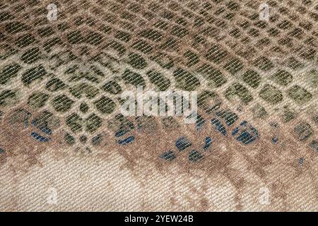 Reptile skin imitation, textured background Stock Photo
