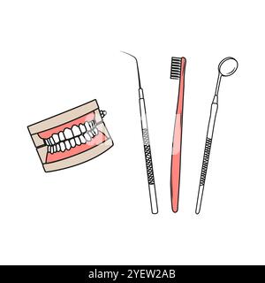 Human jaws model. Teeth instruments for oral hygiene. Line art. Dental health care concept. Hand drawn vector illustration. Stock Vector